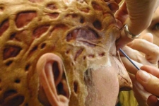 Freddy-vs-Jason_127