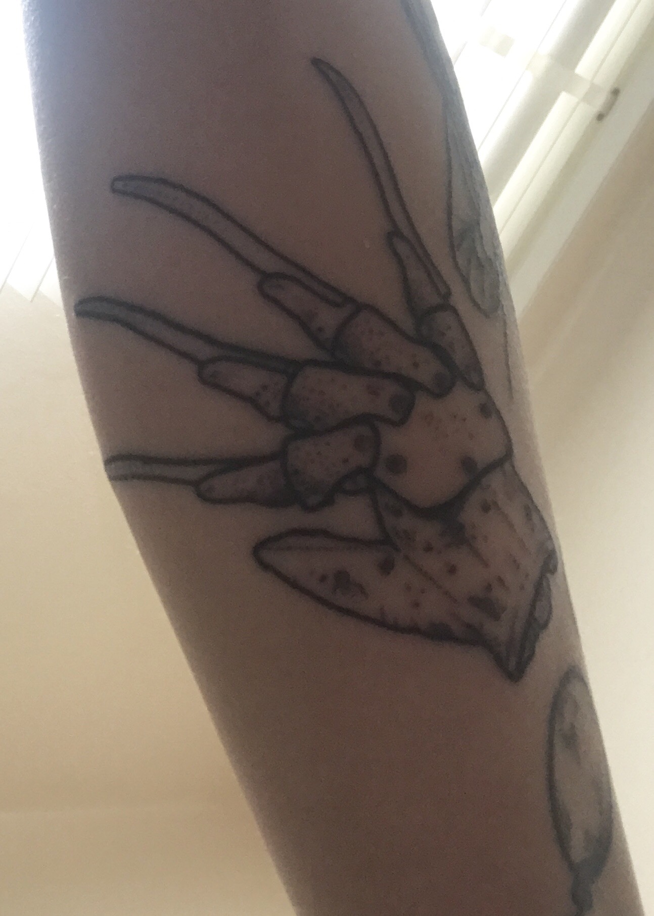 Freddy Glove by KaylaMoon Robert Englund